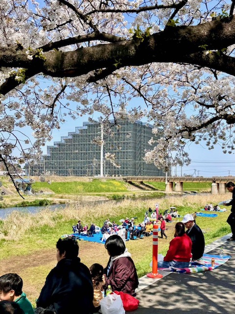 3月28日(土)、11時から恒例の「花見の会」を開催します。皆様、是非ご参加ください。