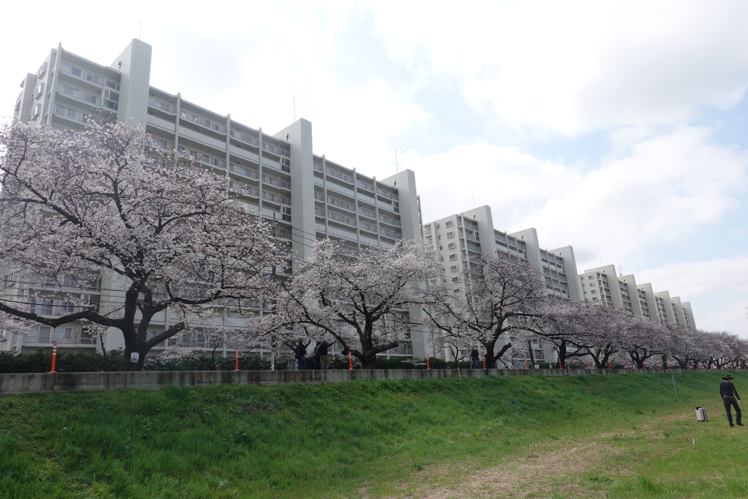 3月28日(土)、好天のもと恒例の「花見の会」が多くの会員の参加をえて開催されました。